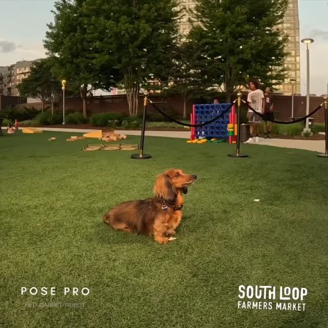 Instagram post from poseprochicago. This post is in position 5.